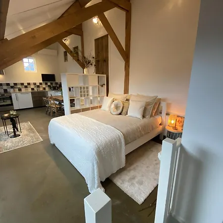 Bed & Breakfast / De Rozeboom Steenbergen (North Brabant)