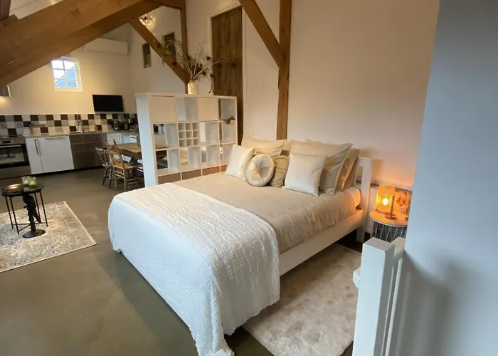 Bed and Breakfast / De Rozeboom Steenbergen (North Brabant)