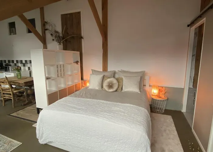 / De Rozeboom Bed and Breakfast 3*