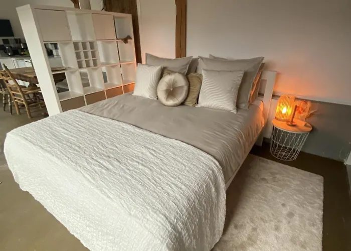 / De Rozeboom Bed and Breakfast 3*