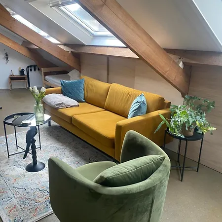 / De Rozeboom Отель типа 